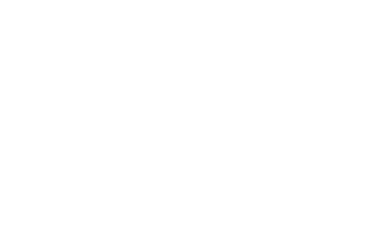Rhode Island International Film Festival Laurel